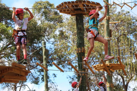Next Level Monkey Business - Tweed Heads Accommodation 0