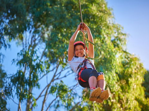 Next Level Monkey Business - Tweed Heads Accommodation 2