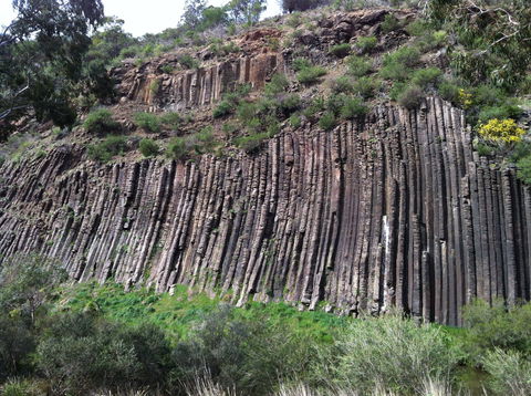 Organ Pipes National Park - Tweed Heads Accommodation 1