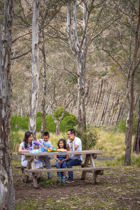 Organ Pipes National Park - Tweed Heads Accommodation 2