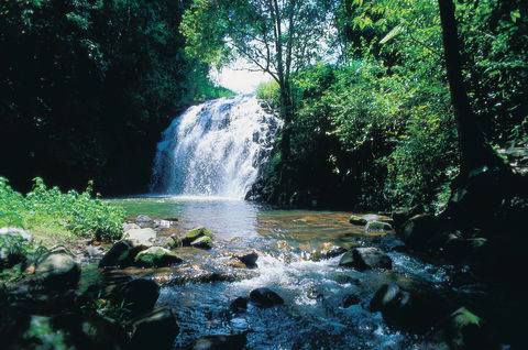 Pepina Falls - Tweed Heads Accommodation 0