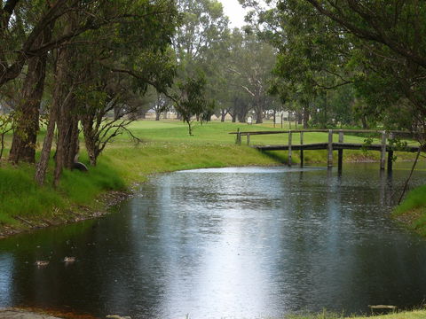 Pinjarra Golf Club - Tweed Heads Accommodation 2