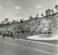 Rockhampton Bull Statues - Tweed Heads Accommodation