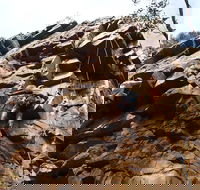 Rock Climbing in Morialta - Tweed Heads Accommodation
