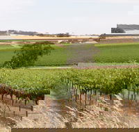 Smidge Wines Tasting Room - Tweed Heads Accommodation
