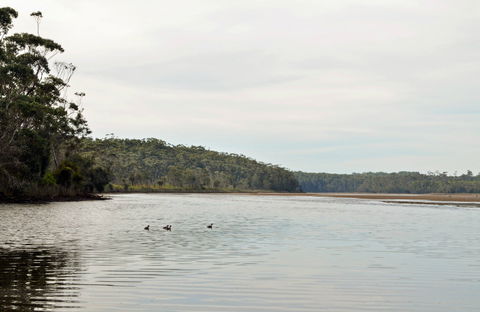 Tabourie Lake - Tweed Heads Accommodation 0