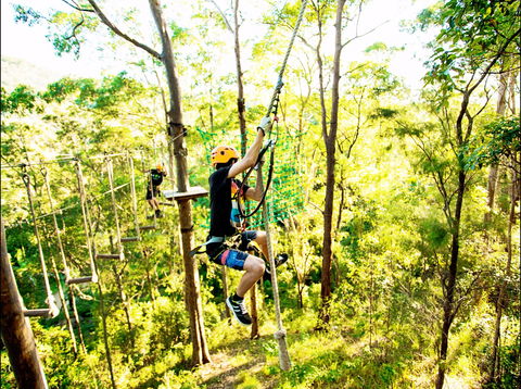 TreeTop Challenge - Tweed Heads Accommodation 1