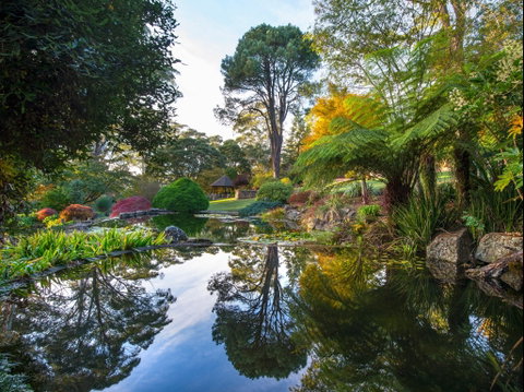 Windyridge Garden Mount Wilson - Tweed Heads Accommodation 1