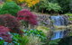 Windyridge Garden Mount Wilson - thumb 2