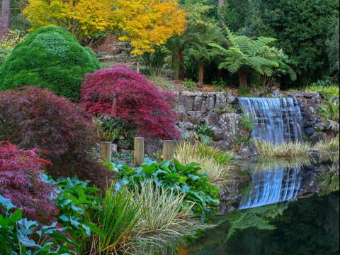Windyridge Garden Mount Wilson - Tweed Heads Accommodation 2