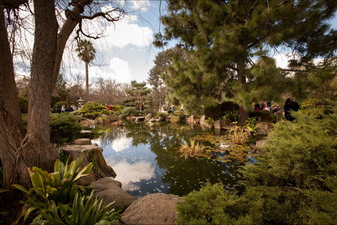 Adelaide Himeji Garden - Tweed Heads Accommodation 1