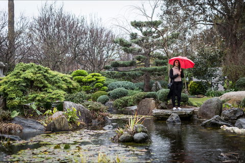 Adelaide Himeji Garden - Tweed Heads Accommodation 2
