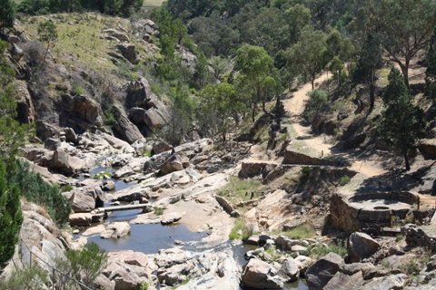Adelong Falls Gold Mill Ruins - Tweed Heads Accommodation 1