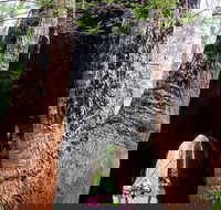 Ancient Empire Walk Valley of the Giants - Tweed Heads Accommodation