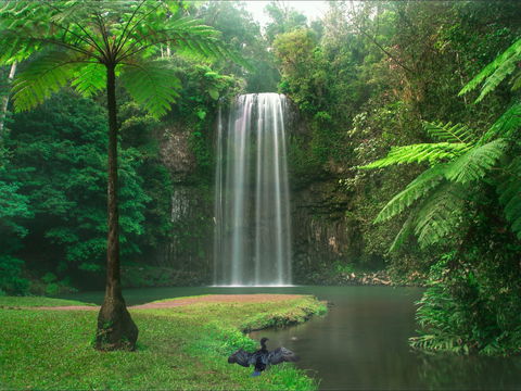 Atherton Tablelands - Tweed Heads Accommodation 0