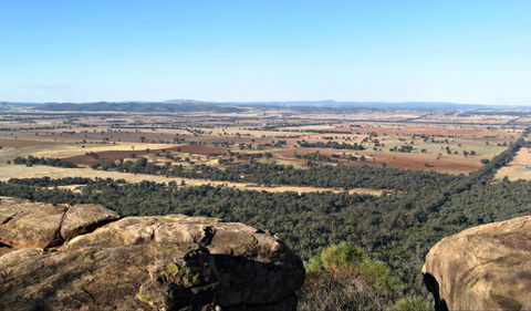 Basin Gully To Eualdrie Lookout Track - Tweed Heads Accommodation 0