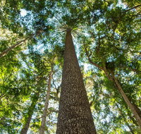 Big Sky National Parks - Tweed Heads Accommodation