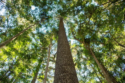 Big Sky National Parks - Tweed Heads Accommodation 0