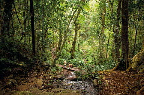 Big Sky National Parks - Tweed Heads Accommodation 1