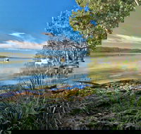Black Oaks Picnic Area - Tweed Heads Accommodation