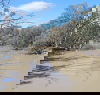 Bush Tucker Trail - Tweed Heads Accommodation