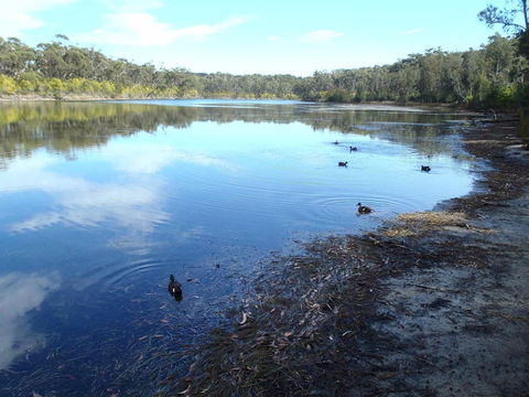 Conjola National Park - Tweed Heads Accommodation 0