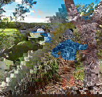 Corkwood and Scribbly Gum Walking Track - Tweed Heads Accommodation