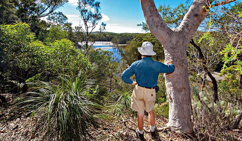 Corkwood And Scribbly Gum Walking Track - Tweed Heads Accommodation 0