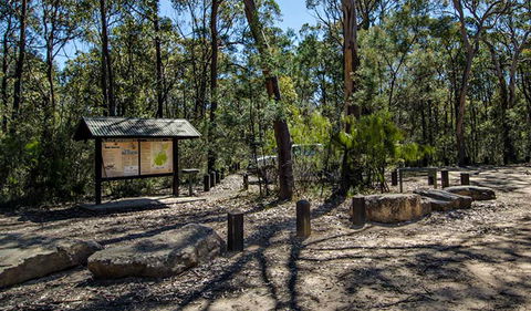 Couridjah Corridor Walk - Tweed Heads Accommodation 0