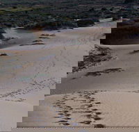Foreshore Walk Mungo National Park - Tweed Heads Accommodation
