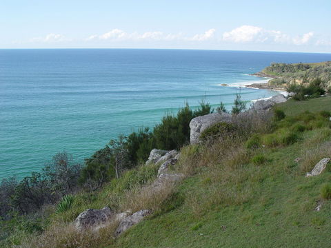 Goanna Headland - Tweed Heads Accommodation 1