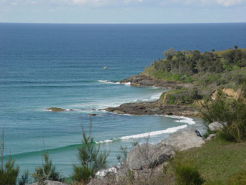 Goanna Headland - Tweed Heads Accommodation 2