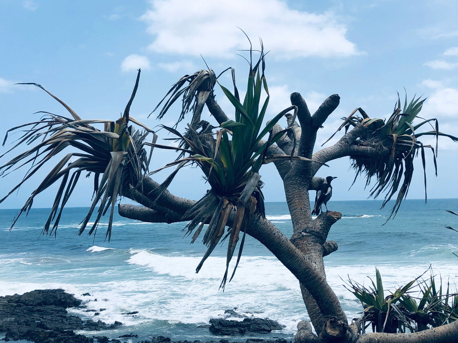  Tweed Heads Accommodation