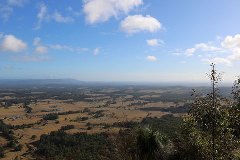 Heaton State Forest - Watagan Mountains - Tweed Heads Accommodation 0