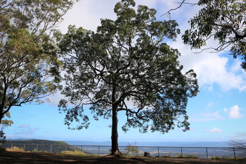 Heaton State Forest - Watagan Mountains - Tweed Heads Accommodation 2