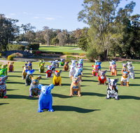 Hello Koalas Sculpture Trail - Tweed Heads Accommodation