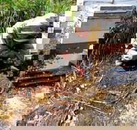 Honey Tasmania - The Beehive