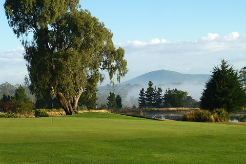Kangaroo Tours At Gisborne Golf Club Inc - Tweed Heads Accommodation 0
