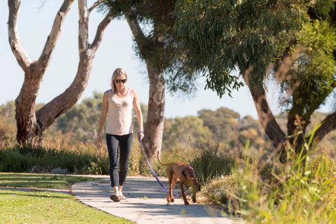 Meningie Walking And Cycling Trails - Tweed Heads Accommodation 0