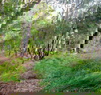 Meroo Lake walking track - Tweed Heads Accommodation