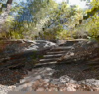 Mooney Mooney nature walk - Tweed Heads Accommodation
