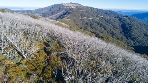 Mt Buller Bike Park - Tweed Heads Accommodation 0