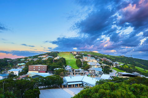 Mt Buller Bike Park - Tweed Heads Accommodation 2