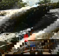 Murray Falls Girramay National Park - Tweed Heads Accommodation