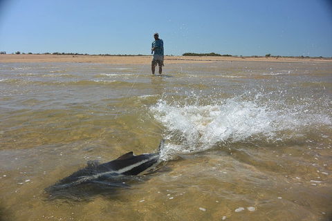 Ningaloo Fly Fishing - Tweed Heads Accommodation 2