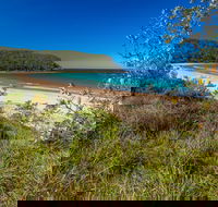 North Durras Beach - Tweed Heads Accommodation