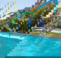 Oaklands War Memorial Swimming Pool - Tweed Heads Accommodation