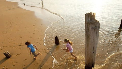 Phillip Island - Tweed Heads Accommodation 0