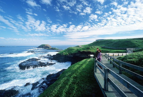 Phillip Island - Tweed Heads Accommodation 1