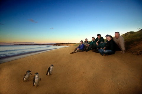 Phillip Island - Tweed Heads Accommodation 2